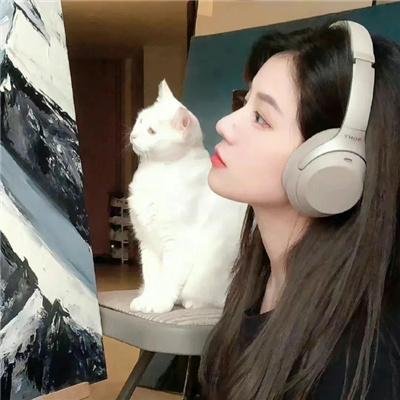 古墓入侵者