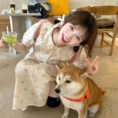 晨光正好